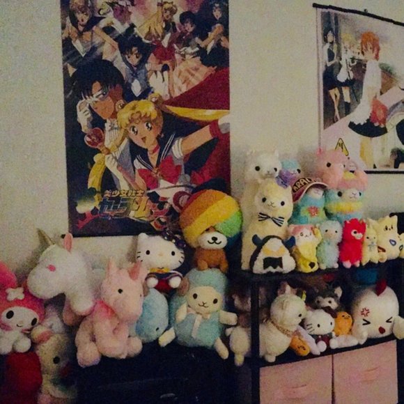 Meet your Posher, Gaby - Picture 6 of 6